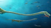 Artist’s reconstruction of Dinocephalosaurus. Image credit: Dinghua Yang.