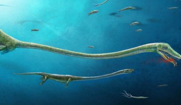 Artist’s reconstruction of Dinocephalosaurus. Image credit: Dinghua Yang.