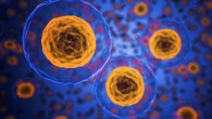 Nanoparticles.