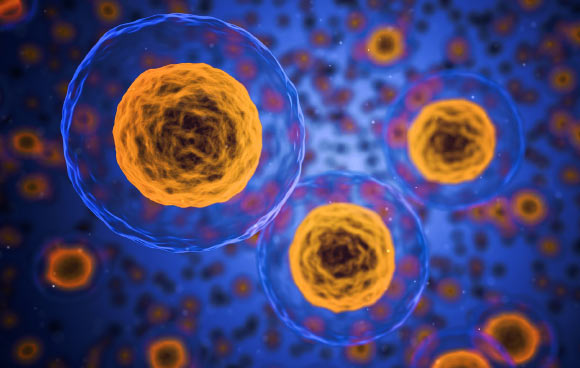 Nanoparticles.