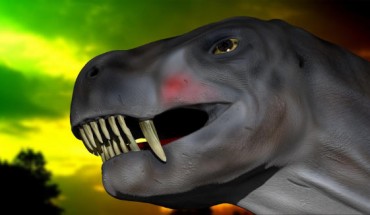 Reconstruction of Euchambersia mirabilis; oblique ventro-lateral view showing the ridged dentition. Image credit: Alex Bernardini.