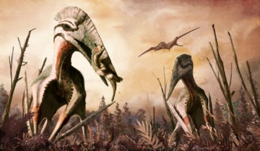 Hatzegopteryx, depicted here as a short-necked, powerful predator, consumes the dwarf dinosaur Zalmoxes in Late Cretaceous Romania. Image credit: Mark Witton, University of Portsmouth.