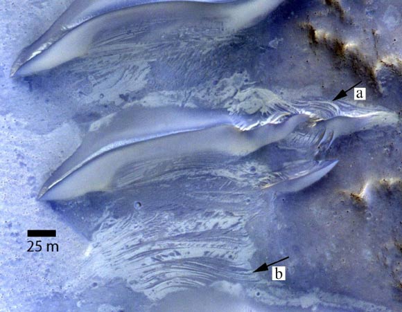 A large pit valley in Lucaya crater, Mars: (a) exposure of putative crossbeds on windward slope of dunes, and (b) interdune strata exposed in planform showing contrasting albedo and crosscutting relationships similar to that exposed in the dune. Image credit: M.C. Bourke & H.A. Viles.