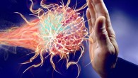 According to Soderquest et al, T-bet plays an important role in coordinating the body’s immune responses. Image credit: Werbe Fabrik.
