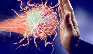 According to Soderquest et al, T-bet plays an important role in coordinating the body’s immune responses. Image credit: Werbe Fabrik.