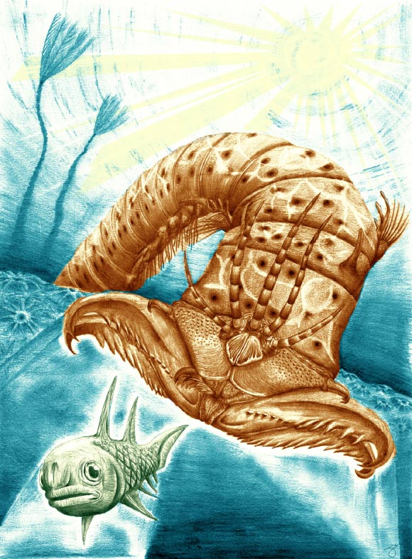 This is an artistic reconstruction showing Websteroprion armstrongi attacking a fish in the Devonian sea. Image credit: James Ormiston.