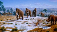 The last glacial period occurred from 110,000 to 11,700 years ago. Image credit: Mauricio Anton.