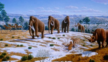 The last glacial period occurred from 110,000 to 11,700 years ago. Image credit: Mauricio Anton.
