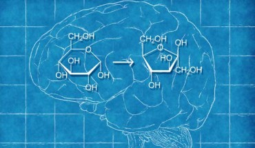 Fructose, a simple sugar, is generated in the human brain, according to Hwang et al. Image credit: Pete Linforth / Sci-News.com.
