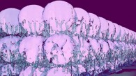 Illustration of a supersolid state, in which the properties of a frictionless fluid and a crystalline state coincide. Image credit: Julian Léonard, ETH Zurich.