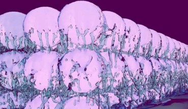 Illustration of a supersolid state, in which the properties of a frictionless fluid and a crystalline state coincide. Image credit: Julian Léonard, ETH Zurich.