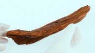 The 850-year-old carved wooden boat from Ørland, Norway. Image credit: Åge Hojem, NTNU University Museum.
