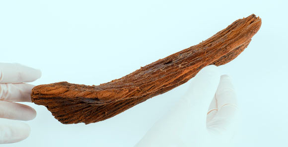 The 850-year-old carved wooden boat from Ørland, Norway. Image credit: Åge Hojem, NTNU University Museum.