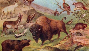 Castle-Miller et al have discovered how animals link the change in seasons to their fertility.