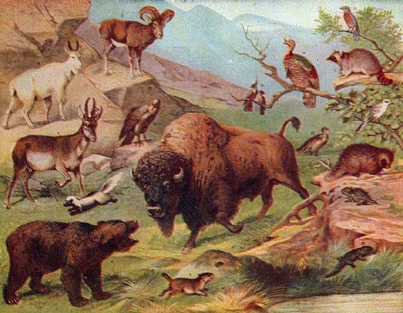 Castle-Miller et al have discovered how animals link the change in seasons to their fertility. 