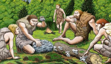 El Sidron Neanderthals taste wild mushrooms, pine nuts and forest moss. Image credit: Abel Grau, CSIC Communication.