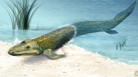 Ancient crocodile-like animals first saw easy meals on land and then evolved limbs that enabled them to get there. Image credit: Zina Deretsky, National Science Foundation.