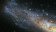 This image, taken with Hubble’s Wide Field Camera, shows the unbarred spiral galaxy NGC 1448. Image credit: NASA / ESA / Hubble.