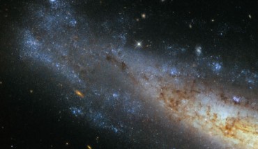 This image, taken with Hubble’s Wide Field Camera, shows the unbarred spiral galaxy NGC 1448. Image credit: NASA / ESA / Hubble.