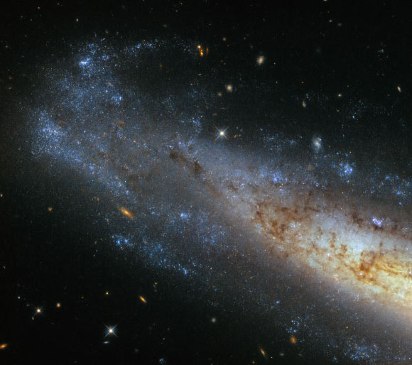 This image, taken with Hubble’s Wide Field Camera, shows the unbarred spiral galaxy NGC 1448. Image credit: NASA / ESA / Hubble.