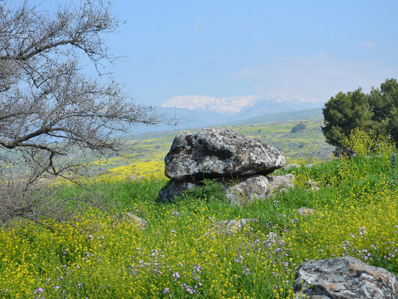The 4,000-year-old ‘multi-dolmen,’ the Shamir Dolmen Field, Israel. Image credit: Gonen Sharon, Tel Hai College.