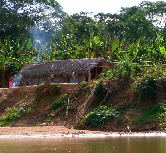 Tsimane village from the water. Image credit: Hillard Kaplan et al.