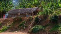Tsimane village from the water. Image credit: Hillard Kaplan et al.