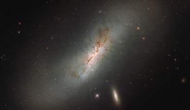 In this Hubble image the barred spiral galaxy NGC 4424 is seen edge on, but from above you would be able to see the arms of the galaxy wrapping around its center to give the characteristic spiral form. The smaller, flatter, bright galaxy sitting just below NGC 4424 is named LEDA 213994. Image credit: NASA / ESA / Hubble.