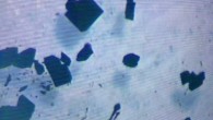 Photograph of X-ray diffraction quality single-crystals of [K(2.2.2-cryptand)]{PuII[C5H3(SiMe3)2]3}, [K(crypt)][PuIICp’’3]. Image credit: Cory J. Windorff et al, doi: 10.1021/jacs.7b00706.