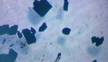 Photograph of X-ray diffraction quality single-crystals of [K(2.2.2-cryptand)]{PuII[C5H3(SiMe3)2]3}, [K(crypt)][PuIICp’’3]. Image credit: Cory J. Windorff et al, doi: 10.1021/jacs.7b00706.