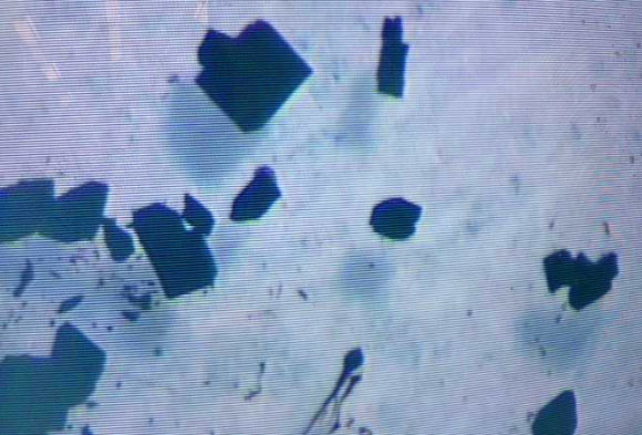 Photograph of X-ray diffraction quality single-crystals of [K(2.2.2-cryptand)]{PuII[C5H3(SiMe3)2]3}, [K(crypt)][PuIICp’’3]. Image credit: Cory J. Windorff et al, doi: 10.1021/jacs.7b00706.