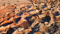 Dinosaur tracks in the Walmadany area, Western Australia. Image credit: Steve Salisbury.