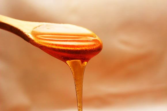 A maple syrup extract increases the potency of common antibiotics. Image credit: Three-Shots.