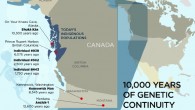 A study by John Lindo et al reveals 10,000 years of genetic continuity in northwest North America. Image credit: Julie McMahon.
