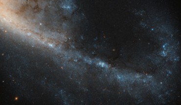 This image snapped by Hubble reveals a detailed view of part of the spiral galaxy NGC 4536. Image credit: NASA / ESA / Hubble.
