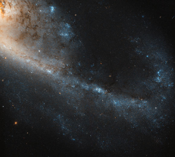 This image snapped by Hubble reveals a detailed view of part of the spiral galaxy NGC 4536. Image credit: NASA / ESA / Hubble.
