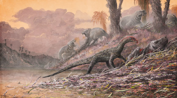 A reconstruction of Teleocrater rhadinus feasting on a relative of early mammals. Image credit: Mark Witton / Natural History Museum, London.