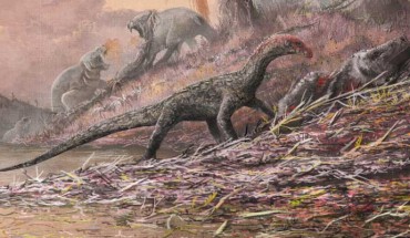 A reconstruction of Teleocrater rhadinus feasting on a relative of early mammals. Image credit: Mark Witton / Natural History Museum, London.