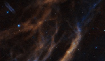 This Hubble image shows a few of the tenuous threads that comprise Sh2-308. Image credit: NASA / ESA / Hubble.