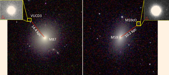 Ahn et al found two ultra-compact dwarf galaxies, VUCD3 and M59cO, with supermassive black holes. The findings suggest that these dwarf galaxies are likely tiny leftovers of larger galaxies that were stripped of their outer layers after colliding into other, larger galaxies Messier 87 and Messier 59, respectively. Image credit: NASA / Space Telescope Science Institute.