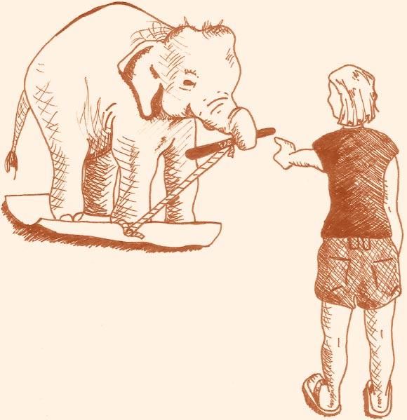 Once standing on the mat, elephants were instructed to pick up the stick and give it to the experimenter. Image credit: E. Gilchrist.