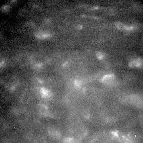 This image shows features in Saturn’s atmosphere from closer than ever before. Image credit: NASA / JPL-Caltech / Space Science Institute.