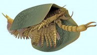 Reconstruction of Tokummia katalepsis. Image credit: Lars Fields.