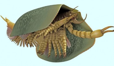 Reconstruction of Tokummia katalepsis. Image credit: Lars Fields.