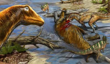 Galeamopus pabsti in its environment in the Late Jurassic of North America. An Allosaurus and two Ceratosaurus are feeding on a carcass of Galeamopus pabsti. Image credit: Davide Bonadonna.