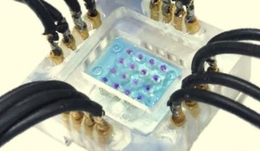 A light-activatable 4 x 4 droplet array. Image credit: Restrepo Schild et al, doi: 10.1038/srep46585.