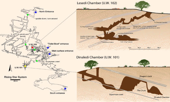 This is a schematic of the Rising Star cave system. Image credit: Marina Elliott, Wits University.