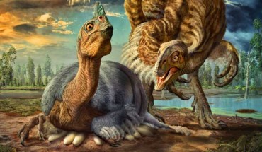 A nesting cassowary-like dinosaur named Beibeilong sinensis in the act of incubating eggs. Image credit: Zhao Chuang.