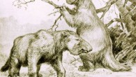 Megatherium sloths. Image credit: Robert Bruce Horsfall.
