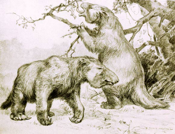 Megatherium sloths. Image credit: Robert Bruce Horsfall.